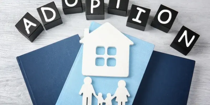 best stamford adoption attorney